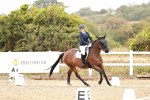 SBM_002834
