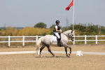 SBM_004226