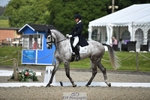 316-D'ARTAGNAN-Tiana_Coudray-WEDTrotUp+DR portfolio