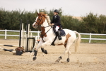 SBM_000455
