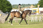 SBM_10263