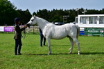 SBM_01044