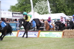 SBM_09945