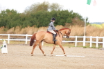 SBM_009236