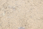 250613A-135024-01730