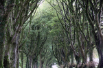 Dartmoor _ DR 28