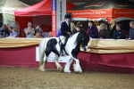 SBM_15907