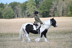 WJ7_6687