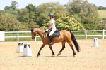 SBM_008528
