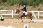 SBM_001552