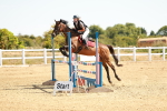 SBM_002890