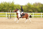 SBM_004065