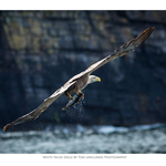 Fine Art Prints portfolio