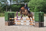 BPP_1003