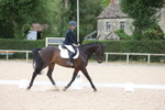 Unaffiliated Dressage portfolio