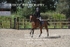 BPP_5292