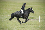 BVHT 140517  NXC -234