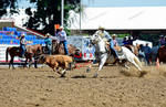 3HRodeo8-11-25_PRCASteer_01559_