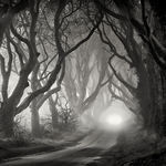 The Dark Hedges