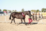 SBM_00176