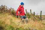 Langdale-1395