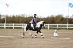 SBM_000390