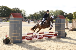 J12 - Junior Pony 55cm Championship portfolio