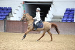 SBM_001651