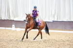 SBM_009053