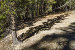 Eastern Sierras-20