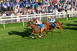 240726-Race 4-Rajaking-0433
