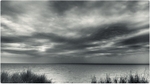 A_Storm_Approaches