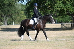 WJ7_9153