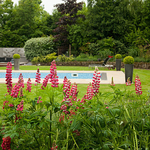 Garden photography by Ross Phillips of Forest Eyes Photography