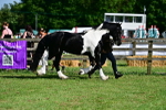 SBM_10088