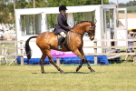 SBM_18028