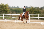 SBM_01556