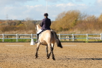 SBM_001549