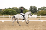 SBM_005498