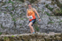 Dovedale Junior-131