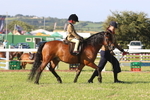 JPP_0914