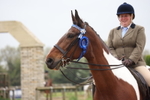 Ridden Showing portfolio