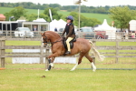 SBM_10276