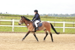 SBM_003907