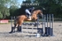 BPP_3857