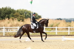 SBM_004198