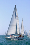 190629 SEA THYME GBR3571L 1Y3A0428_Edit