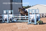 BPP_1179