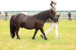 SBM_04333