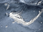 Sand Spirit